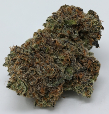 Mail order 420